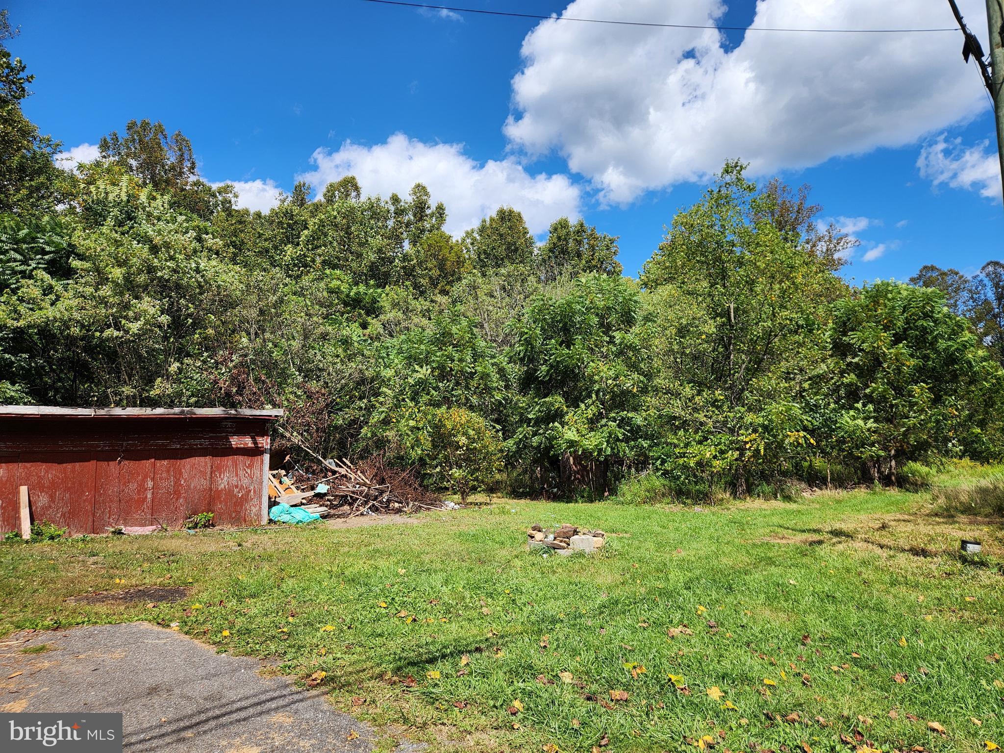 side yard with shed