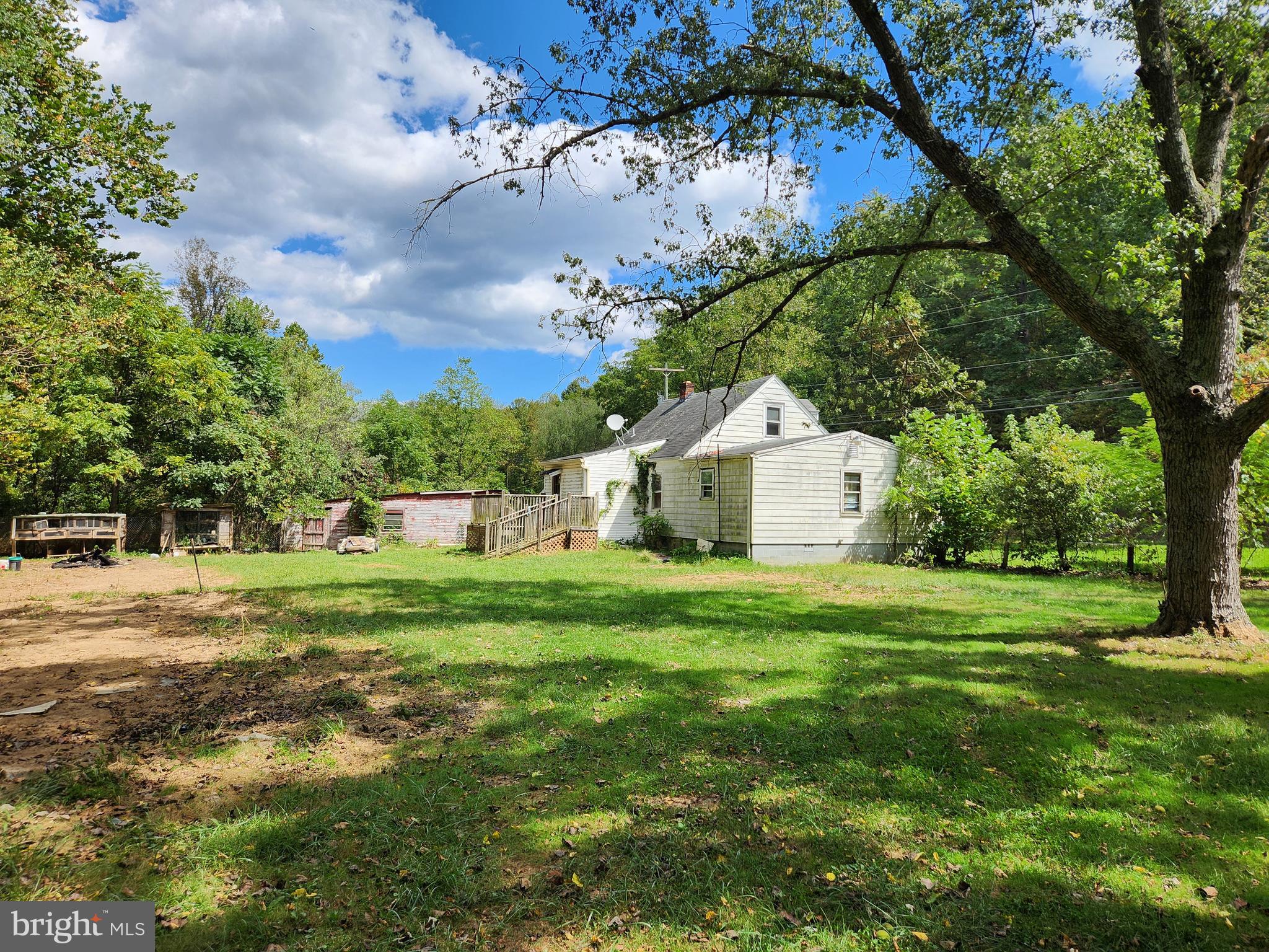rear yard area