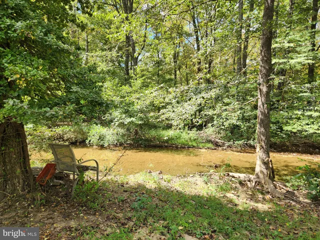 a view of yard with green space and trees around