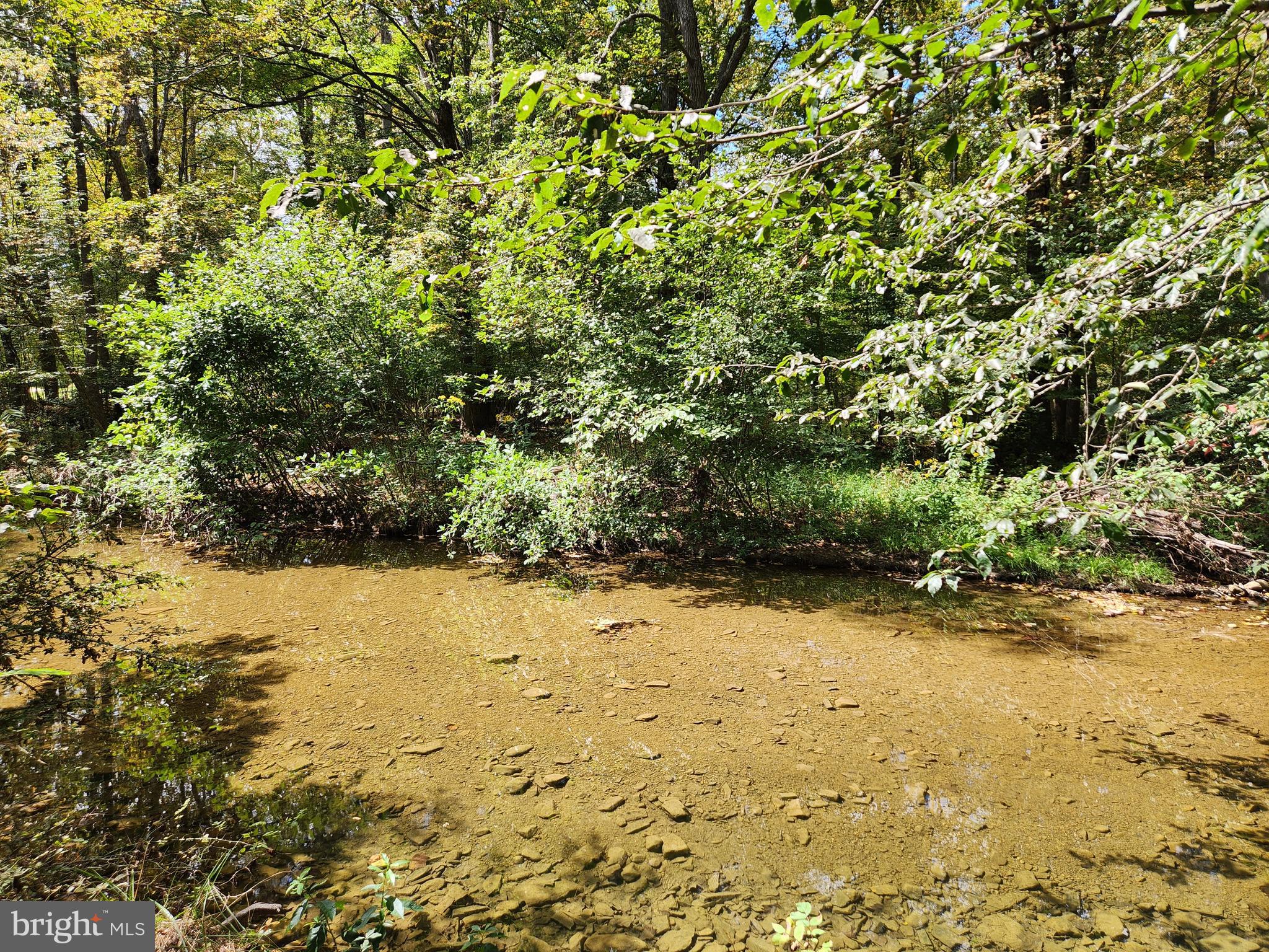 2138 Back Creek Road Gore, VA 22637 - Photo 9 of 32 river bed