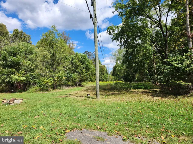 a view of a tree in a yard