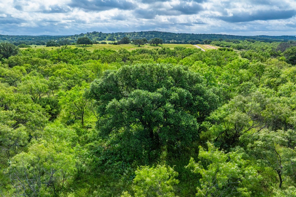 7602 County Road 113 Llano, TX 78643 - Photo 64 of 69