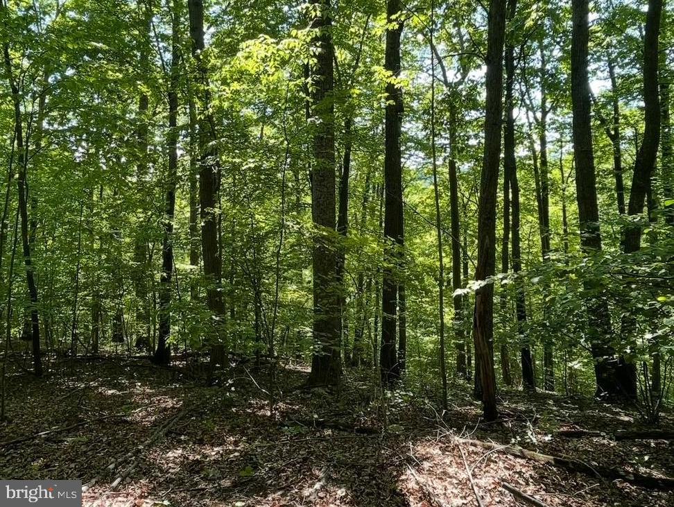 2 Fiery Run Road Linden, VA 22642 - Photo 1 of 5 Possible homesite located on top portion of lot