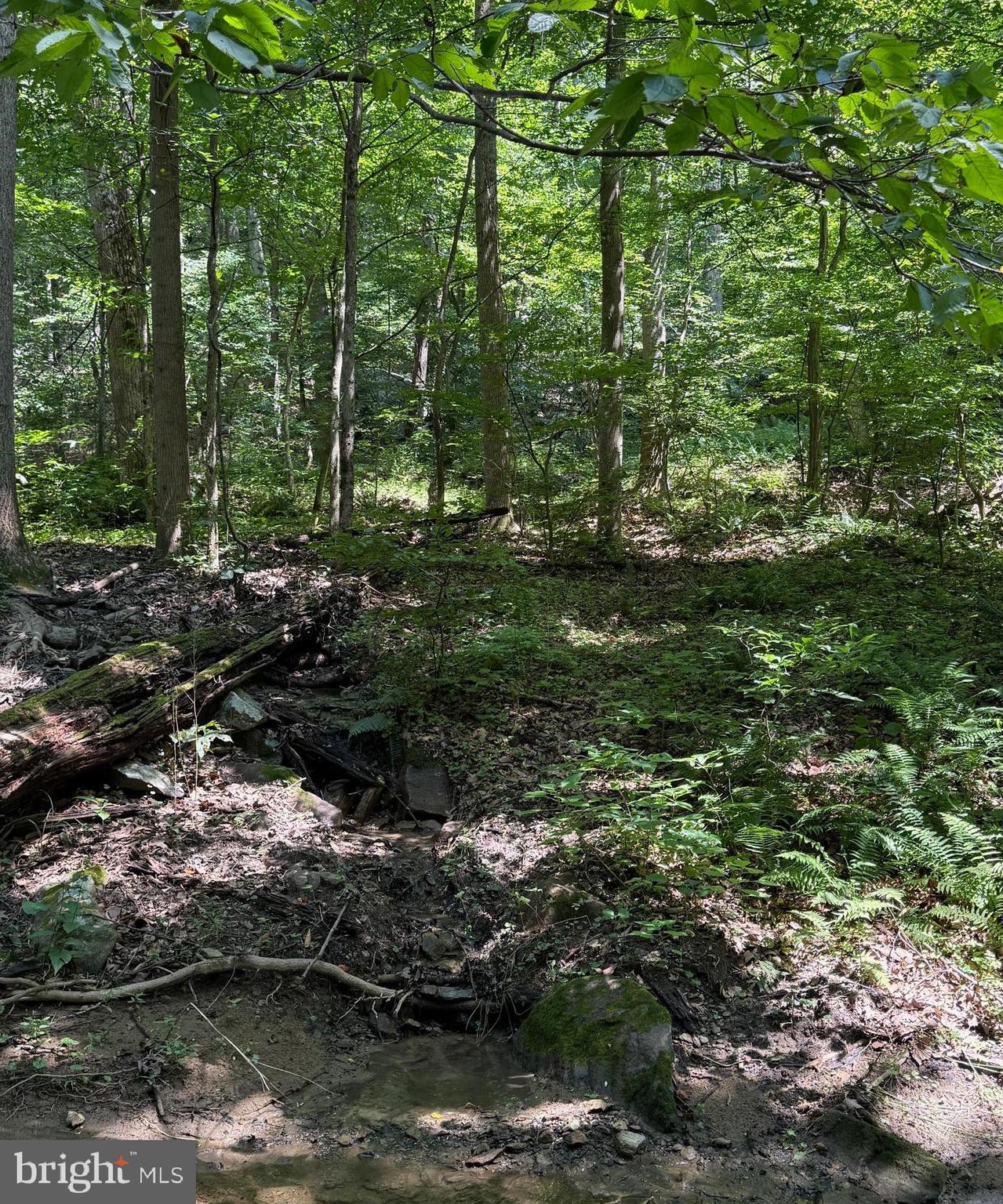 2 Fiery Run Road Linden, VA 22642 - Photo 3 of 5 Possible homesite located on bottom portion of lot