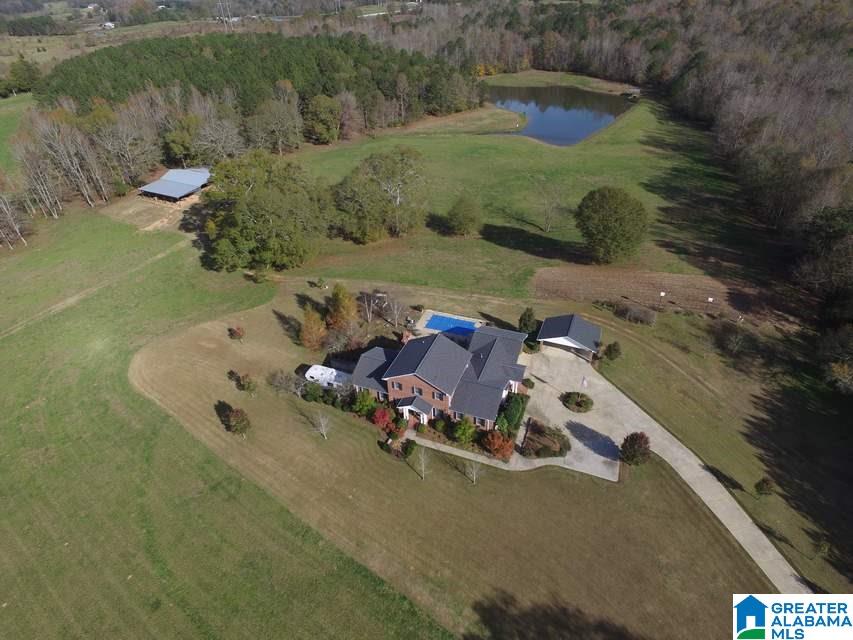 3258 Youngs Mill Road Lineville, AL 36266 - Photo 47 of 50