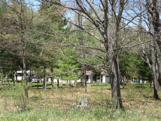 6080 North Merritt Road Merritt, MI 49667 - Photo 20 of 33 1832018-19.JPG