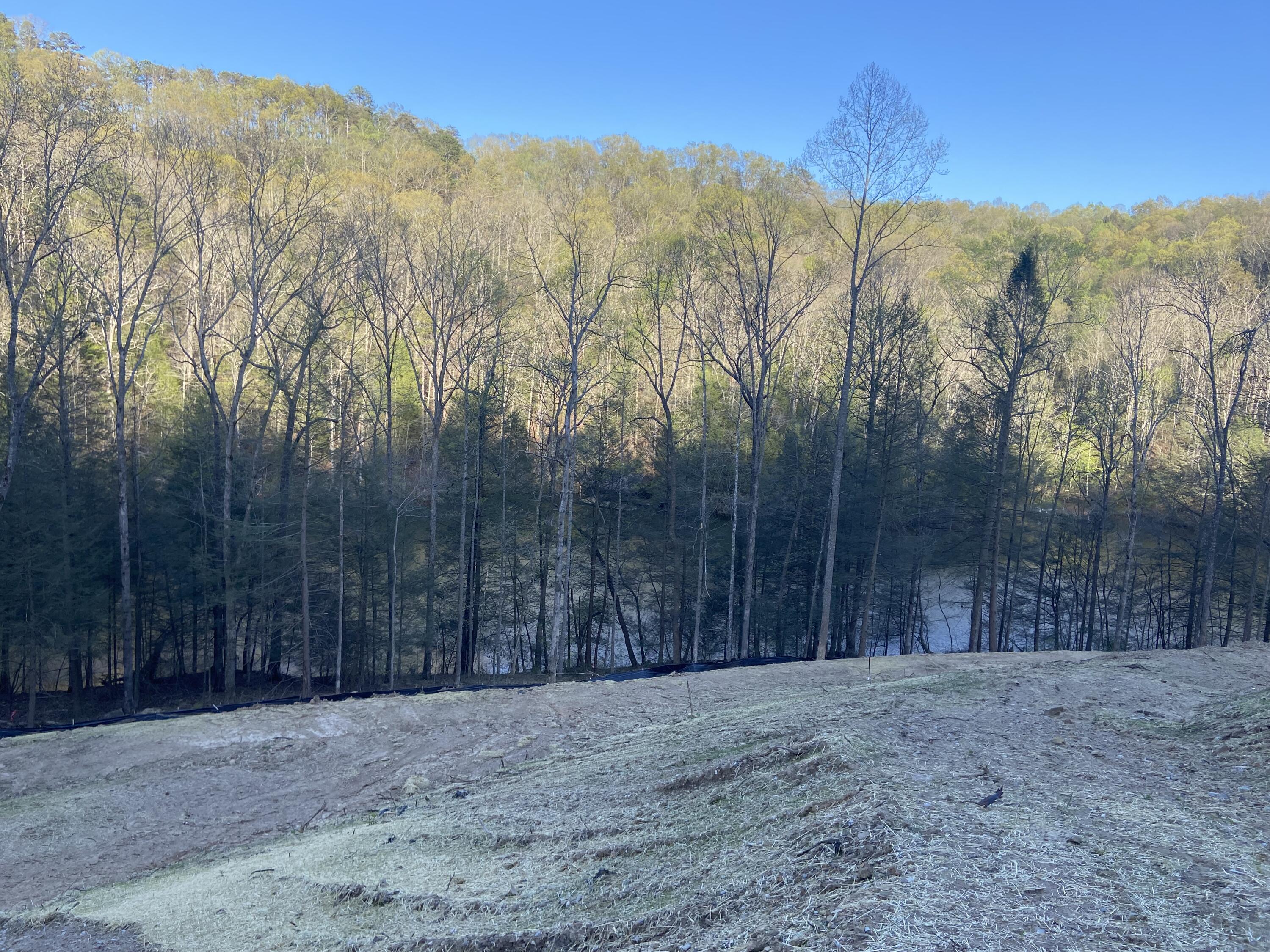 599 Cliffs Edge Road East Bernstadt, KY 40729 - Photo 4 of 10 IMG_4883