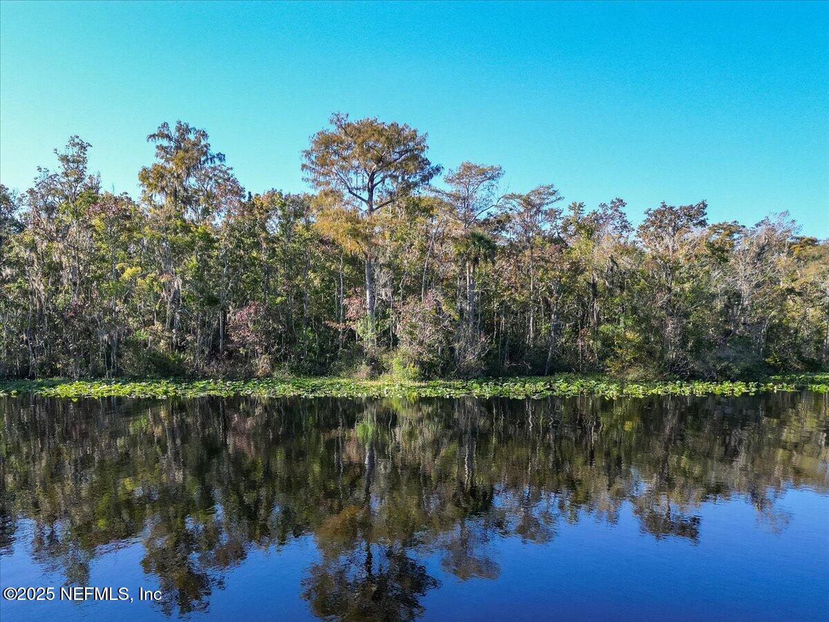 3075 Bishop Estates Road St. Johns, FL 32259 - Photo 16 of 30 Tranquil Views of Durbin Creek