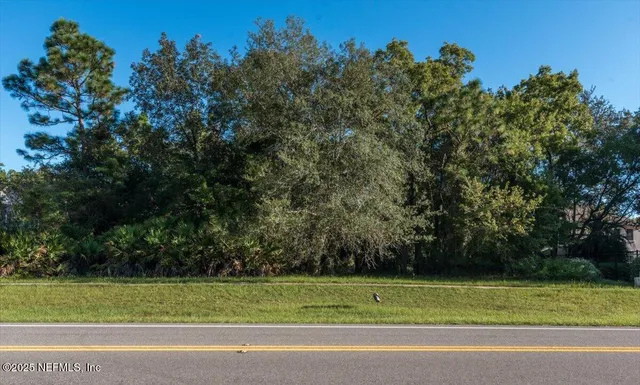 a view of a yard with a lush green forest