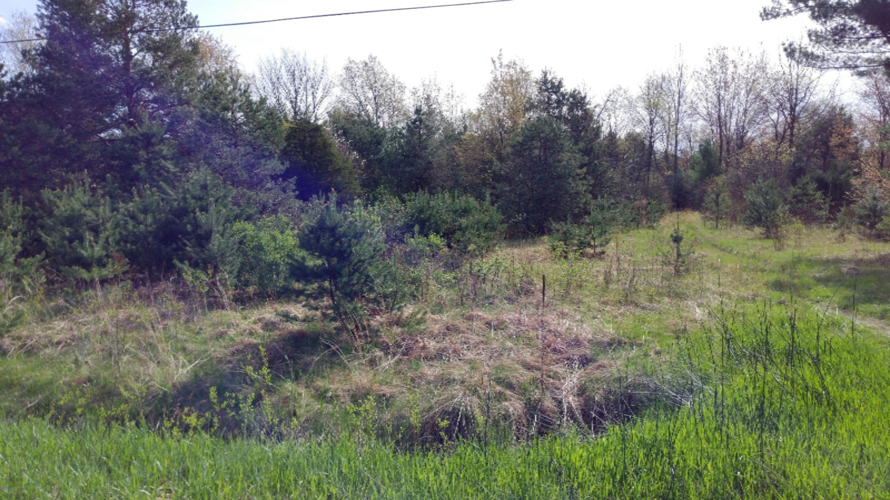 0 Rich Road, Unit 2 54 ACRES Muskegon, MI 49445 - Photo 2 of 2 IMG_20170429_100142