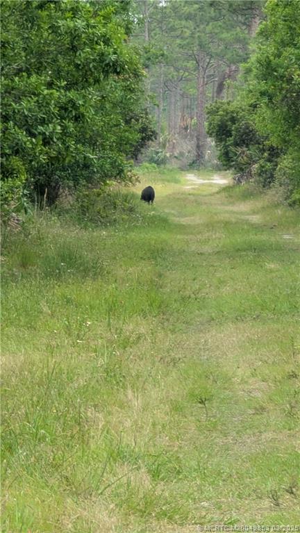 5902 Yucca Drive Fort Pierce, FL 34982 - Photo 80 of 83 a view of yard with green space
