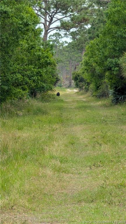 5902 Yucca Drive Fort Pierce, FL 34982 - Photo 81 of 83 a big yard with lots of green space and deers