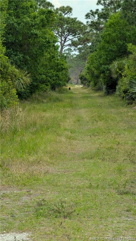 5902 Yucca Drive Fort Pierce, FL 34982 - Photo 82 of 83 a view of a green field with lots of bushes