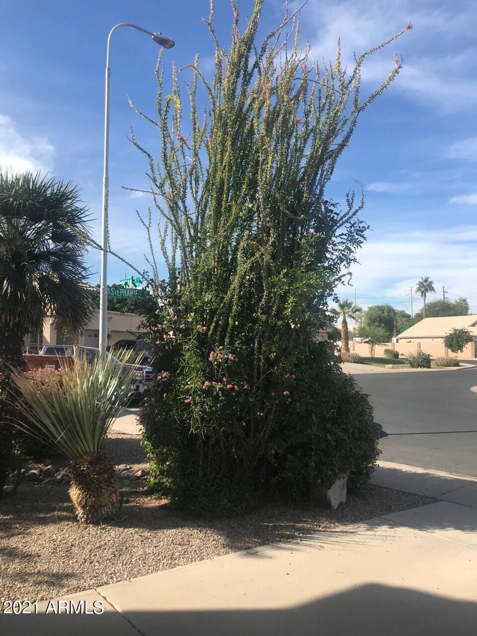 3924 East Yucca Street Phoenix, AZ 85028 - Photo 2 of 17 a view of a yard