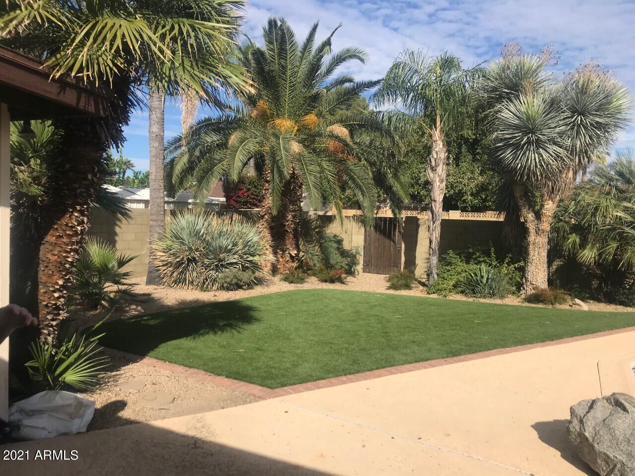 3924 East Yucca Street Phoenix, AZ 85028 - Photo 9 of 17 a view of a yard and a palm tree