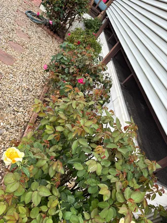 $116,000 | 19690 Highway 99, Unit 164, Acampo, CA 95220