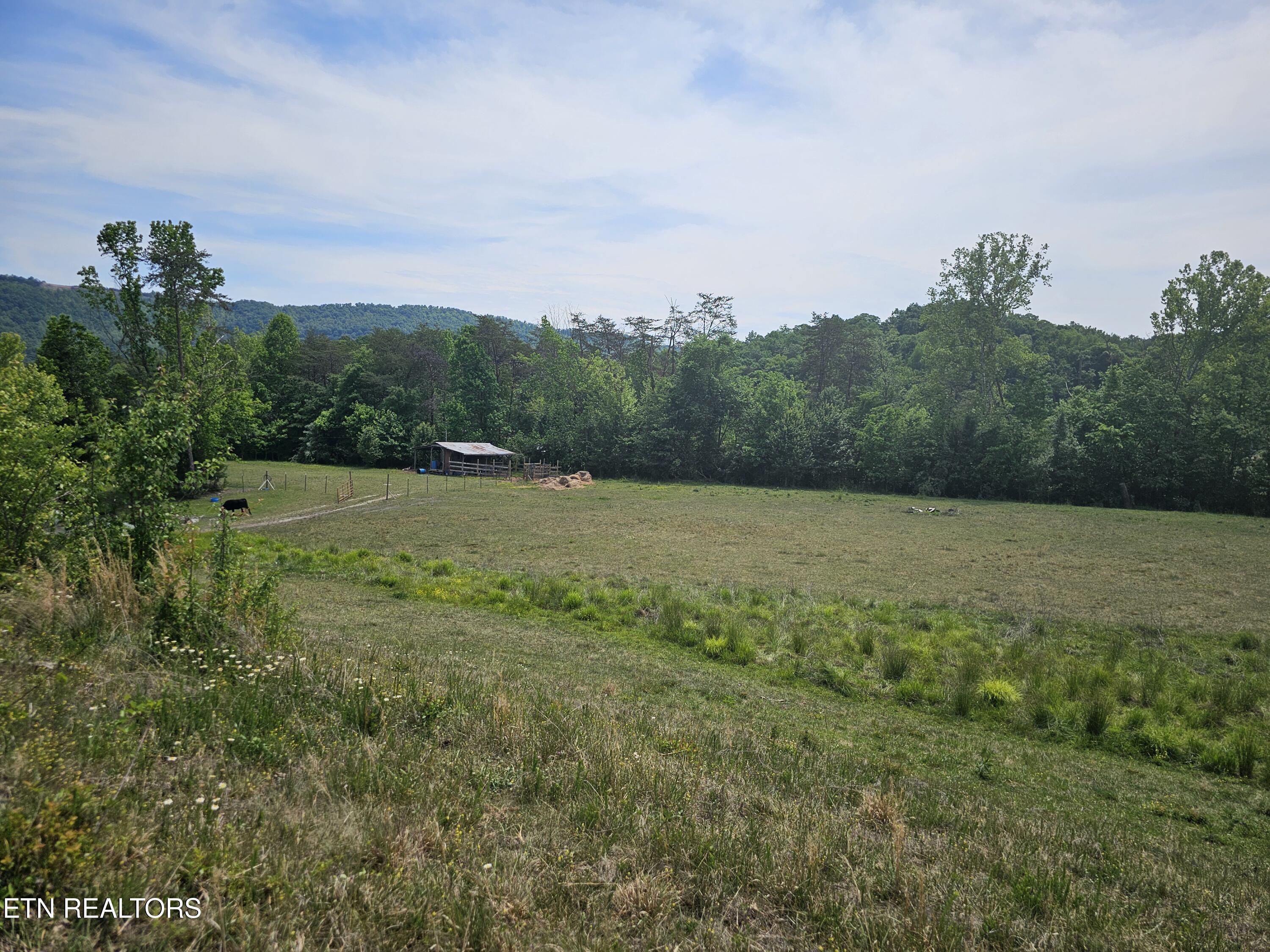 275 Republican Hill Road Newcomb, TN 37819 - Photo 18 of 34 Land