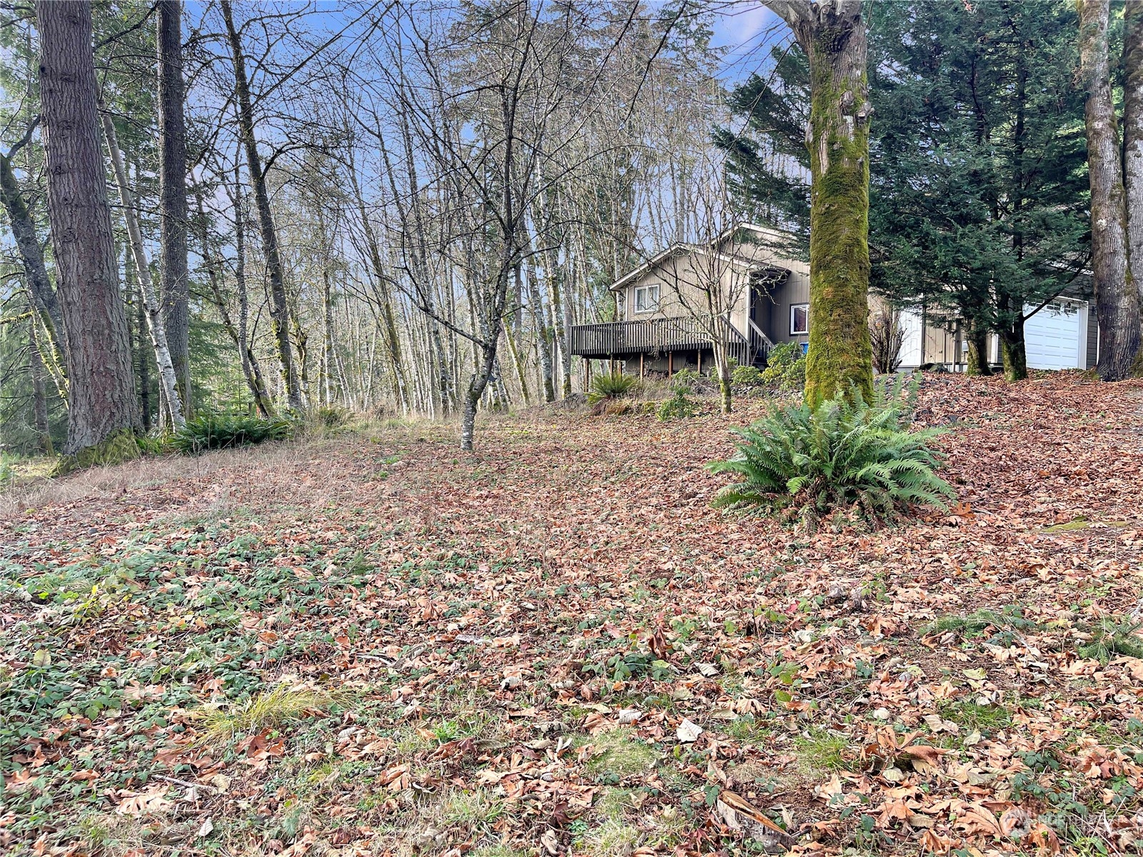 431 Melton Road Castle Rock, WA 98611 - Photo 26 of 31 Gallery Image 26