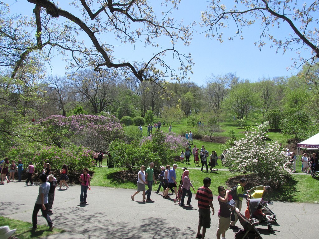 61 Walk Hill Street, Unit 3 Boston, MA 02130 - Photo 13 of 16