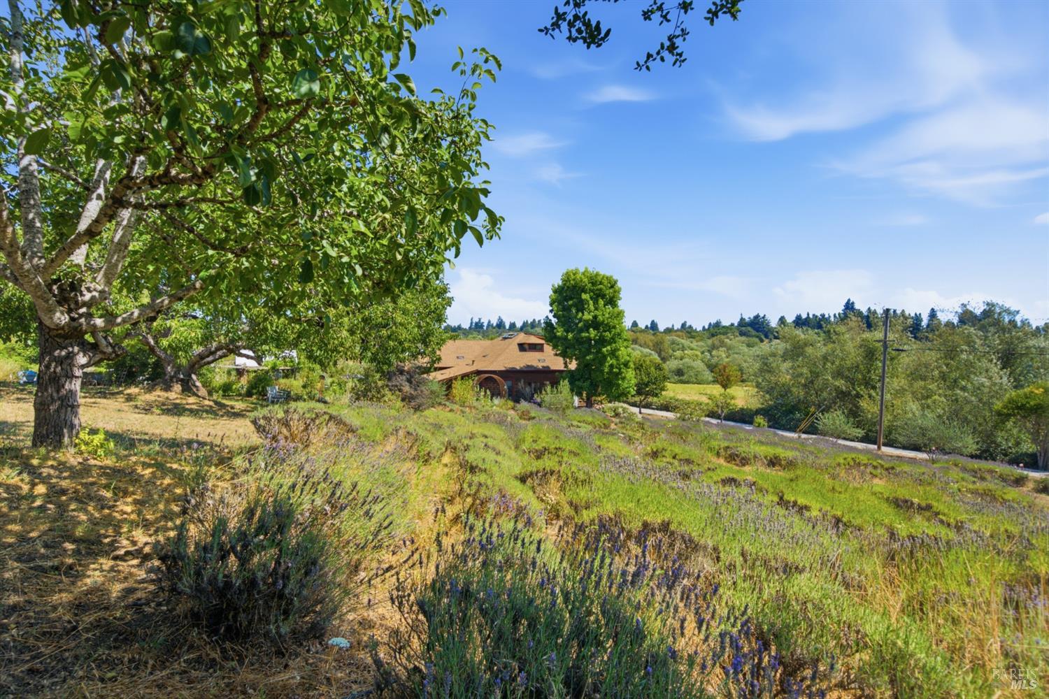 8650 Savio Road Sebastopol, CA 95472 - Photo 25 of 52 Gallery Image 25
