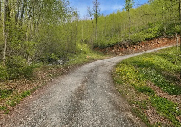 $140,000 | 0 Mountain View Church Road, Blue Ridge, VA 24064