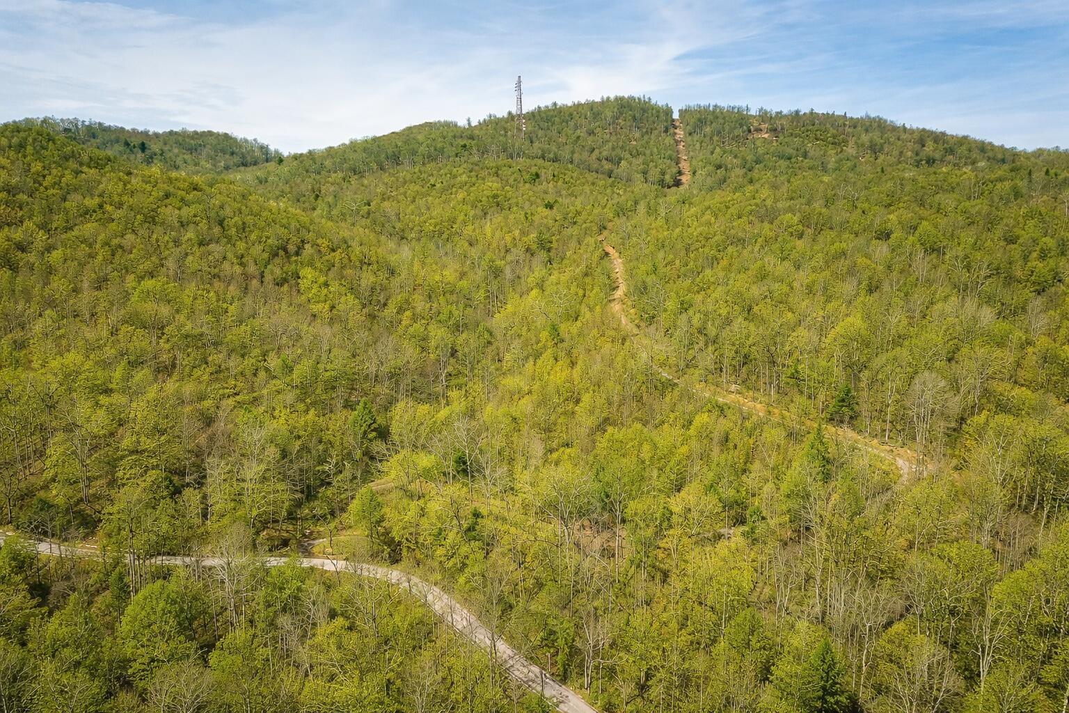 0 Mountain View Church Road Blue Ridge, VA 24064 - Photo 3 of 8 Anderson pic 4