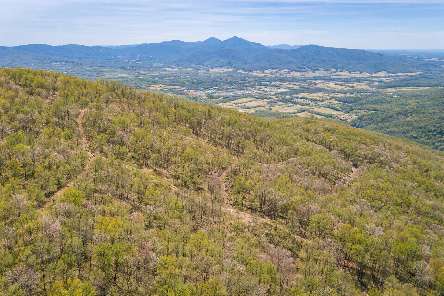 0 Mountain View Church Road Blue Ridge, VA 24064 - Photo 4 of 8 Anderson pic 5