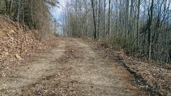 a view of backyard with green space