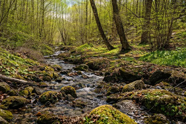 $140,000 | 0 Mountain View Church Road, Blue Ridge, VA 24064