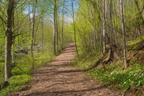 $140,000 | 0 Mountain View Church Road, Blue Ridge, VA 24064