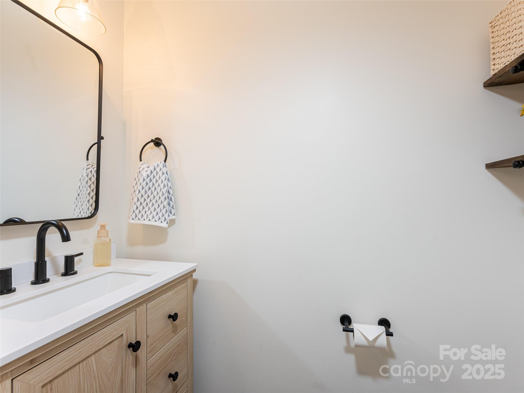289 Roanoke Road Fletcher, NC 28732 - Photo 24 of 39 a bathroom with a sink and a mirror