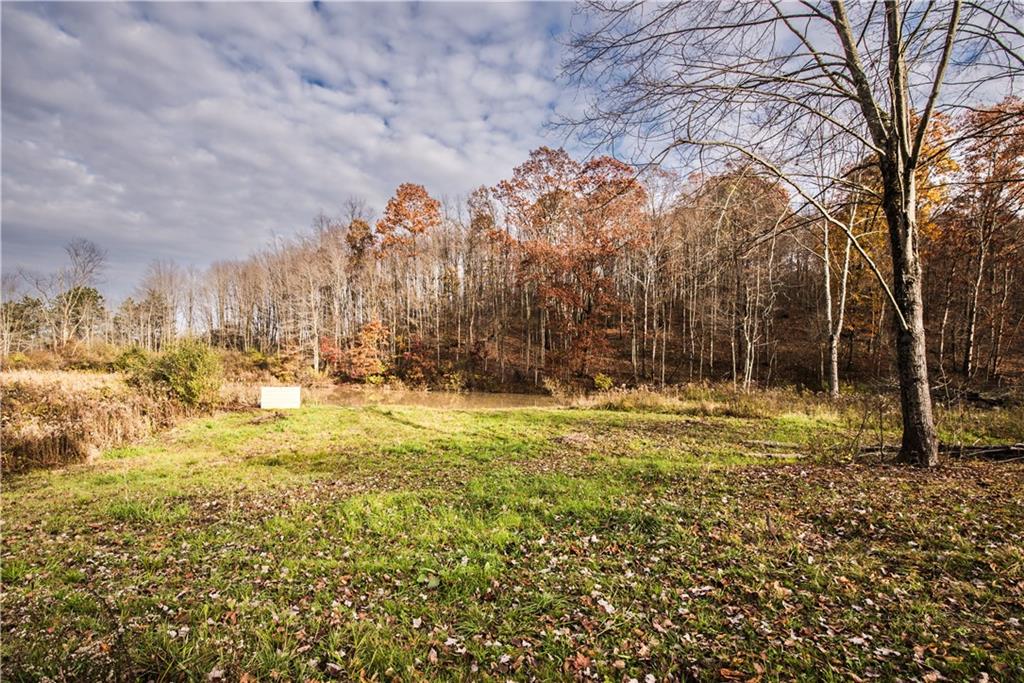 147 Heeter Road Knox, PA 16232 - Photo 3 of 40 a view of yard with trees