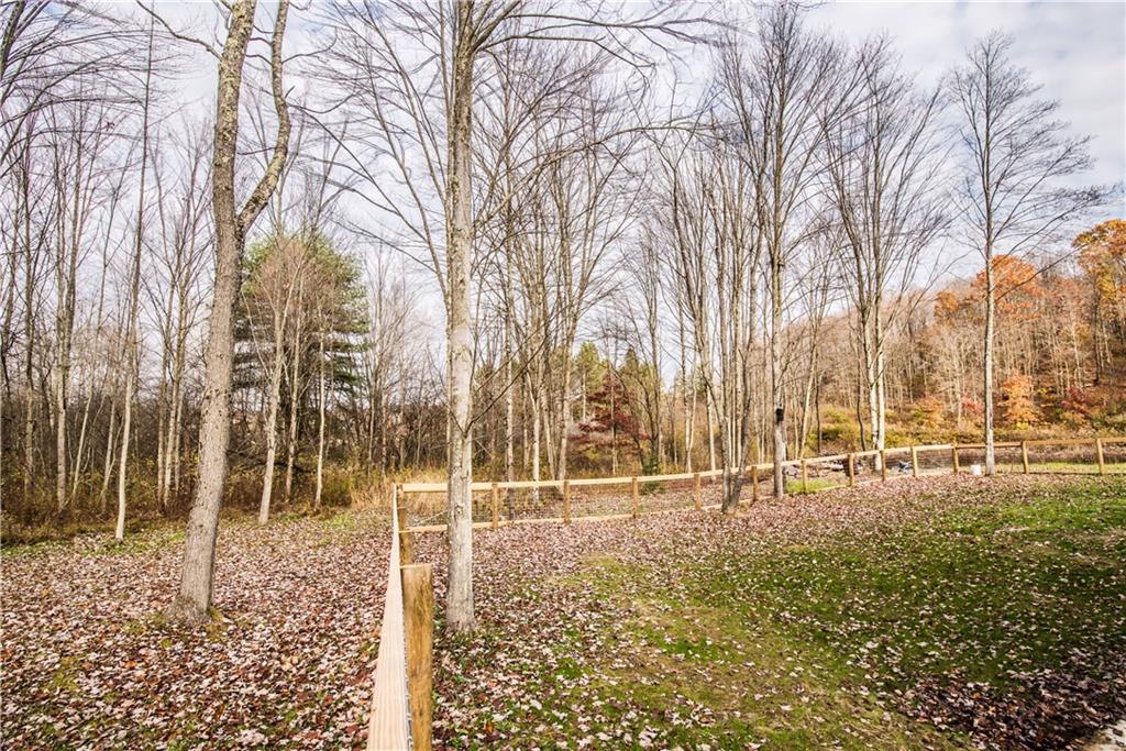 147 Heeter Road Knox, PA 16232 - Photo 35 of 40 a view of a yard with large trees