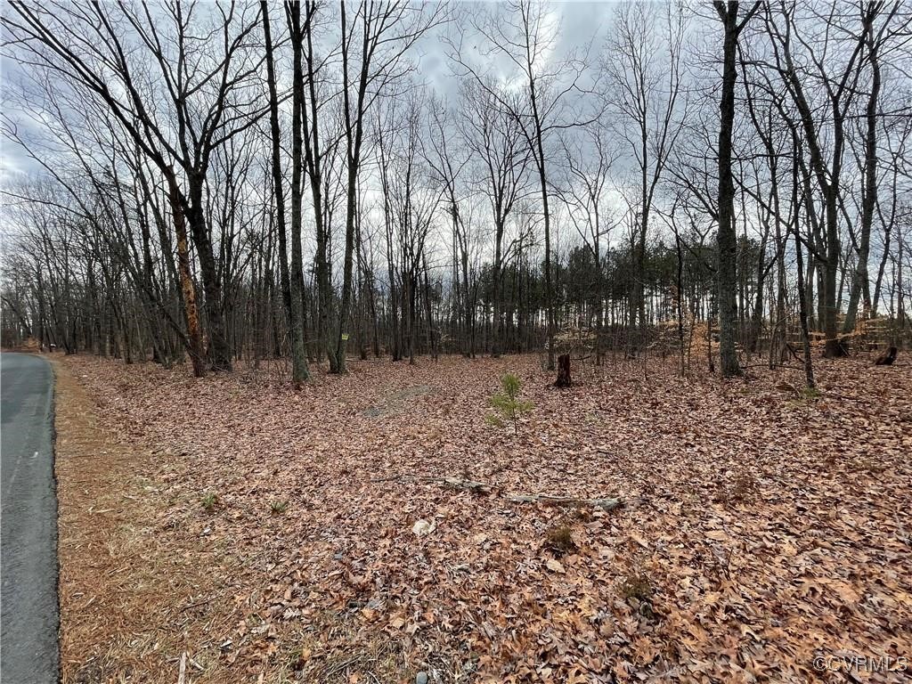 2701 Chapel Road New Canton, VA 23123 - Photo 2 of 11