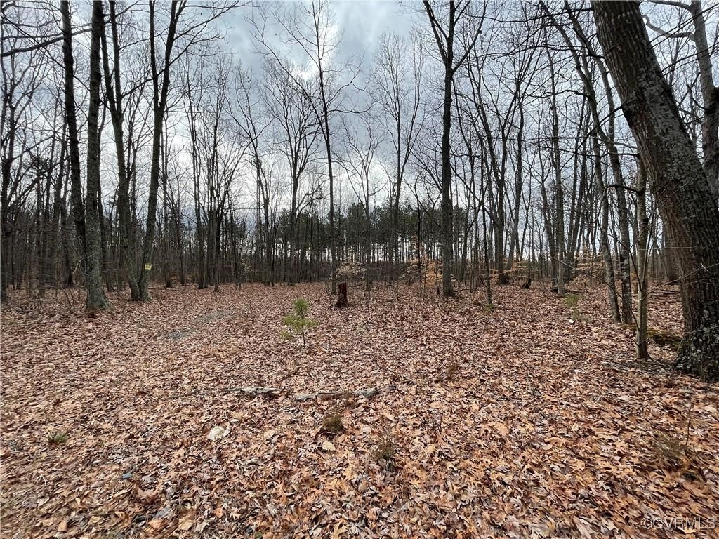 2701 Chapel Road New Canton, VA 23123 - Photo 3 of 11