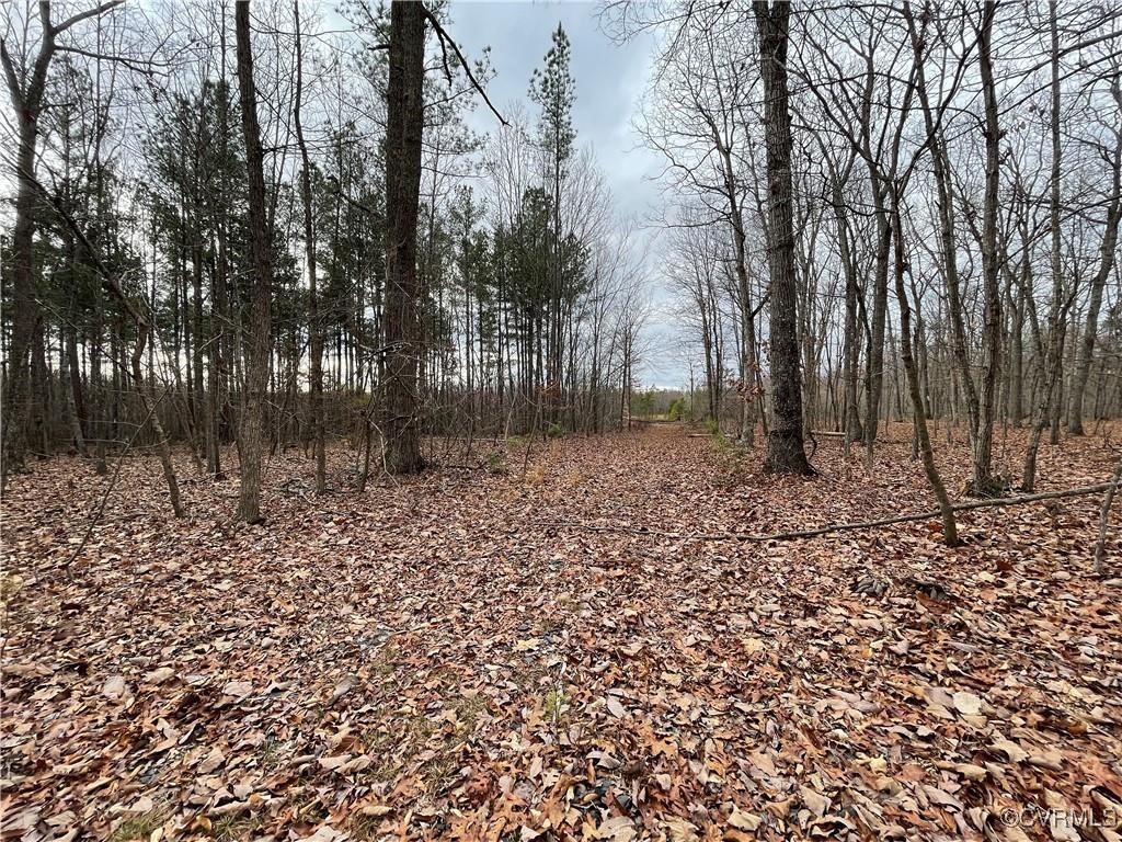 2701 Chapel Road New Canton, VA 23123 - Photo 4 of 11