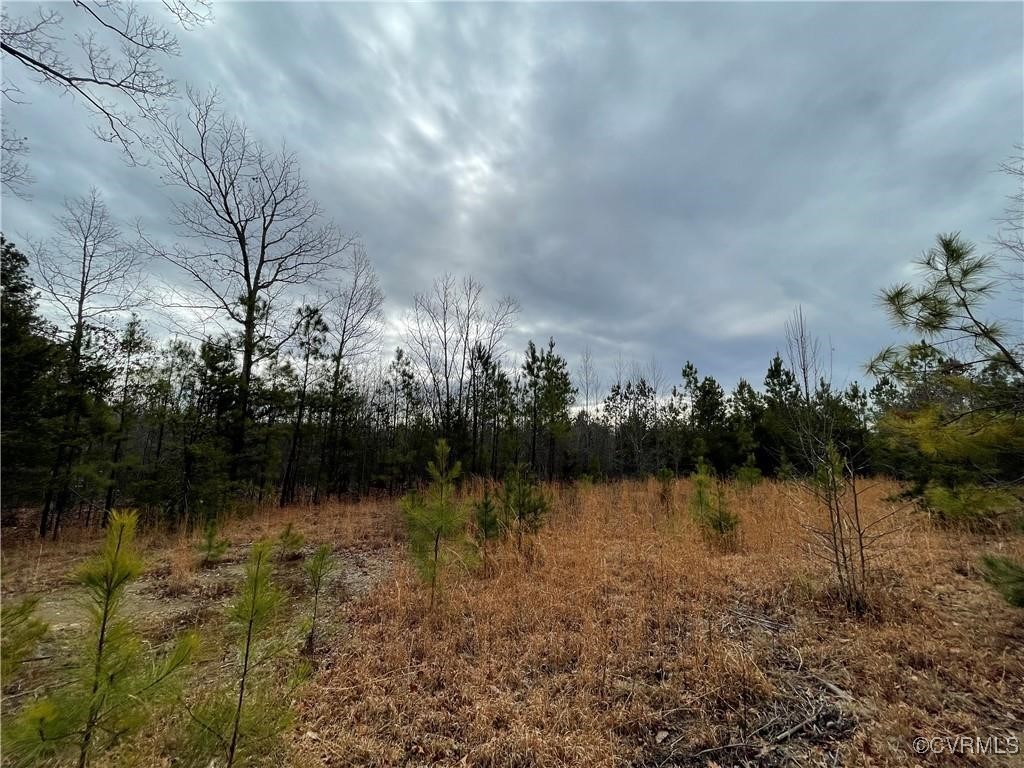 2701 Chapel Road New Canton, VA 23123 - Photo 5 of 11