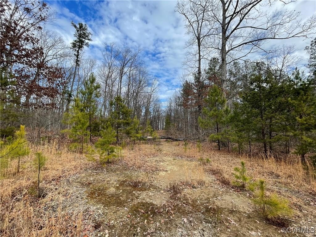 2701 Chapel Road New Canton, VA 23123 - Photo 6 of 11