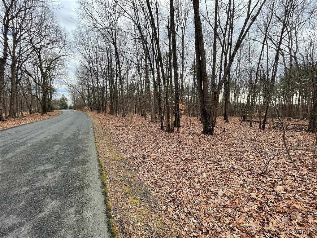 2701 Chapel Road New Canton, VA 23123 - Photo 9 of 11