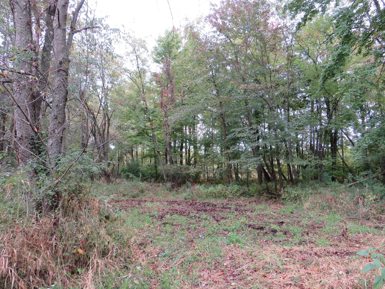 Vl Mcclure Road Eaton Rapids, MI 48827 - Photo 21 of 72