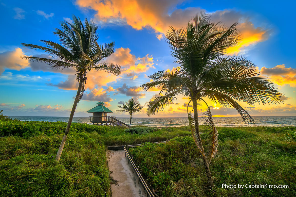 7200 Northwest 2nd Avenue, Unit 48 Boca Raton, FL 33487 - Photo 26 of 31 Boca-Raton-Beach-Sunrise-Coconut-Palm-Tr