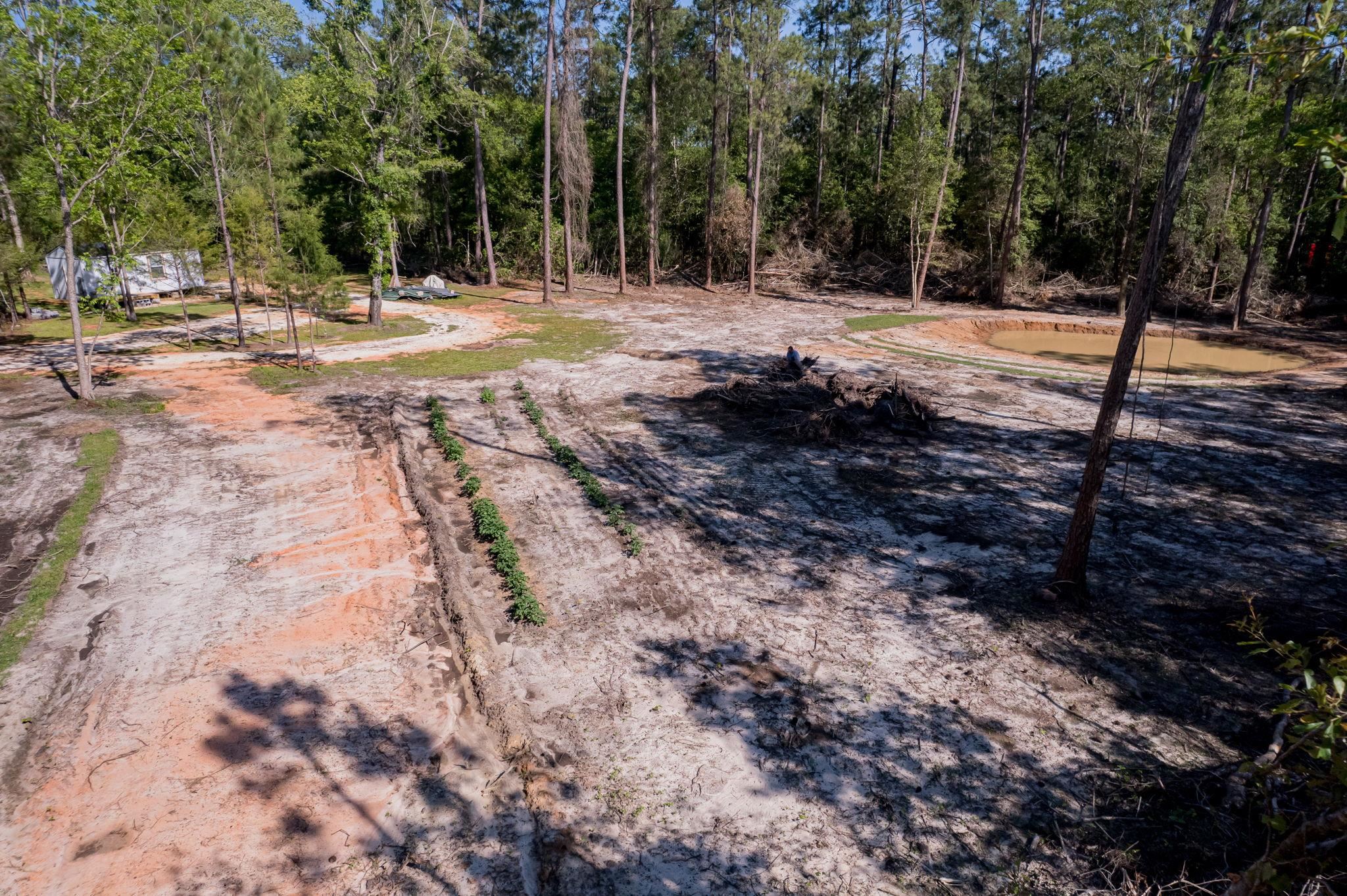 53582 Modelle Bryars Road Perdido, AL 36562 - Photo 13 of 30