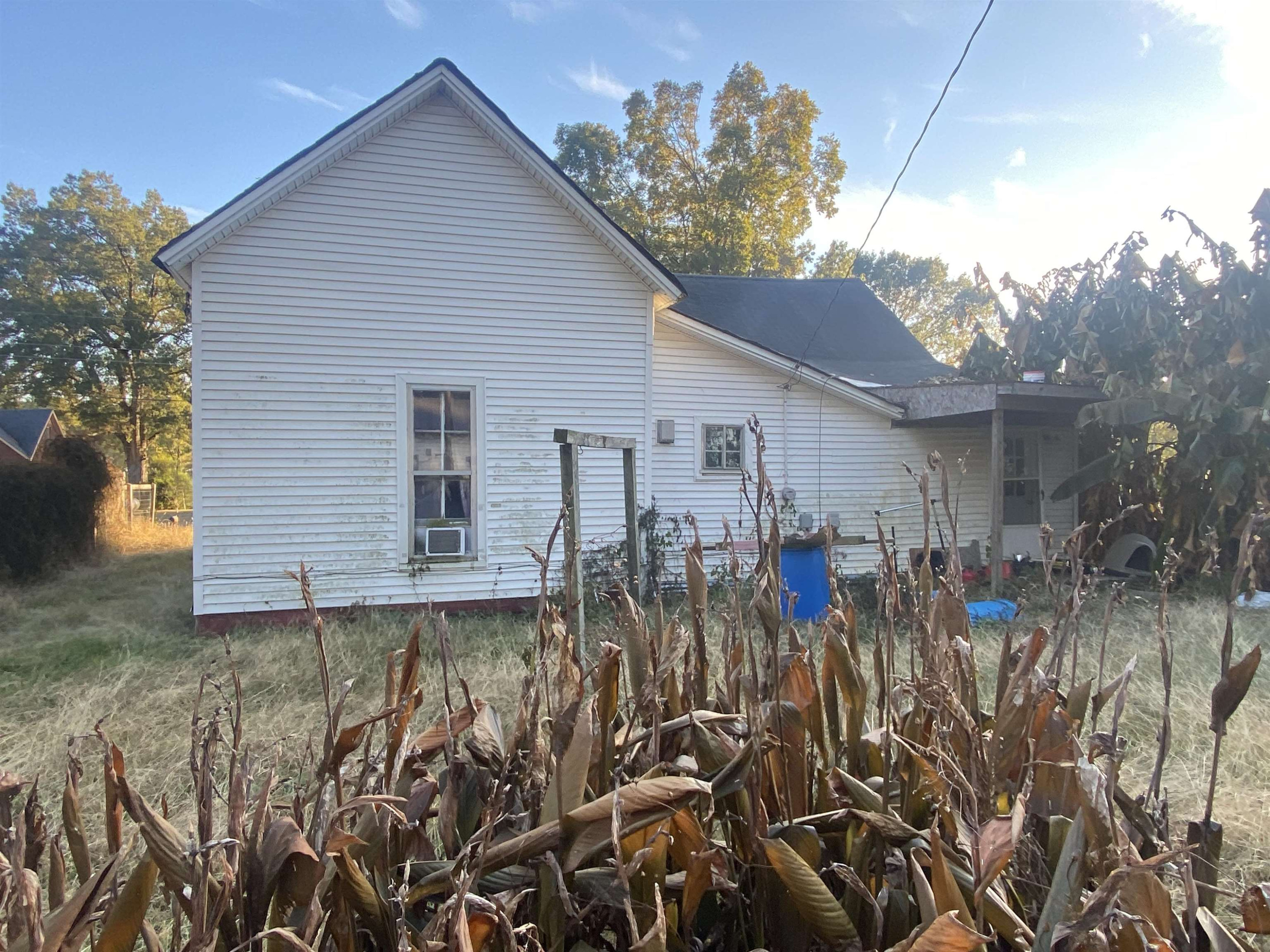 4857 R J Welch Road Friendship, TN 38034 - Photo 2 of 4 a view of a house with blue walls and potted plants
