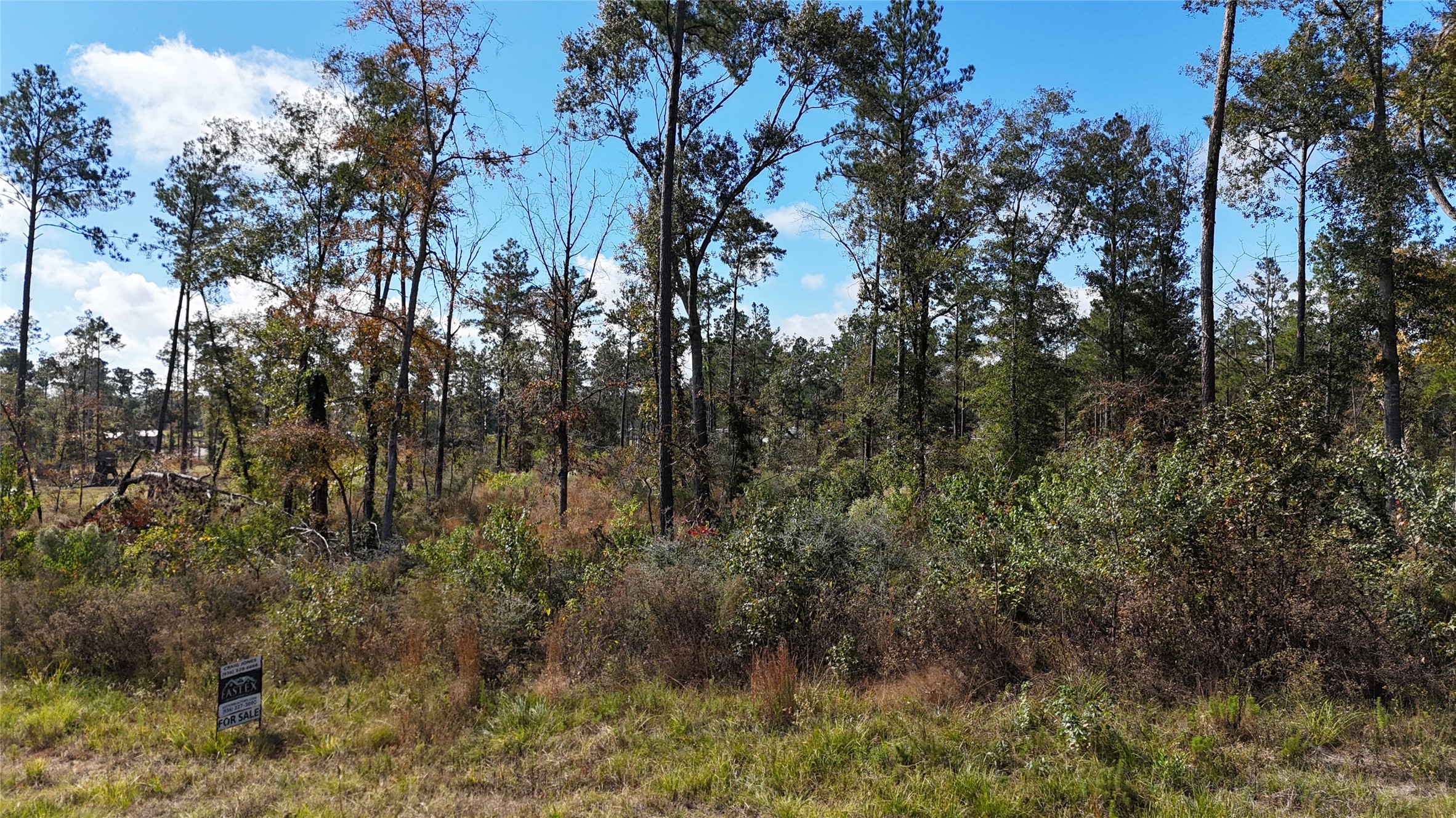 7 Reveille Road Livingston, TX 77351 - Photo 1 of 12