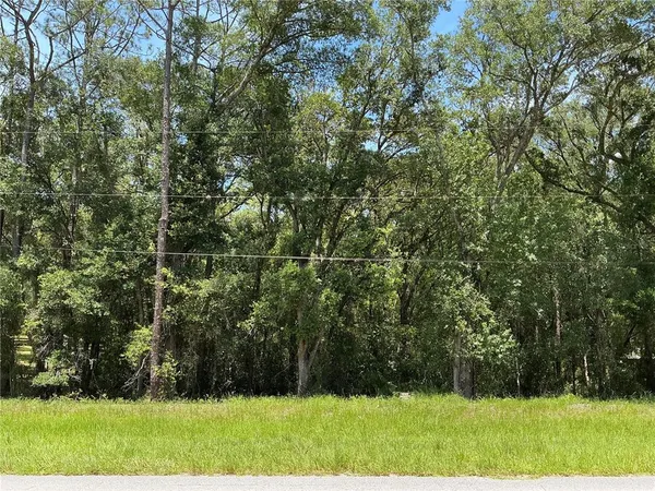 $35,000 | Southwest 102nd St Road, Dunnellon, FL 34431
