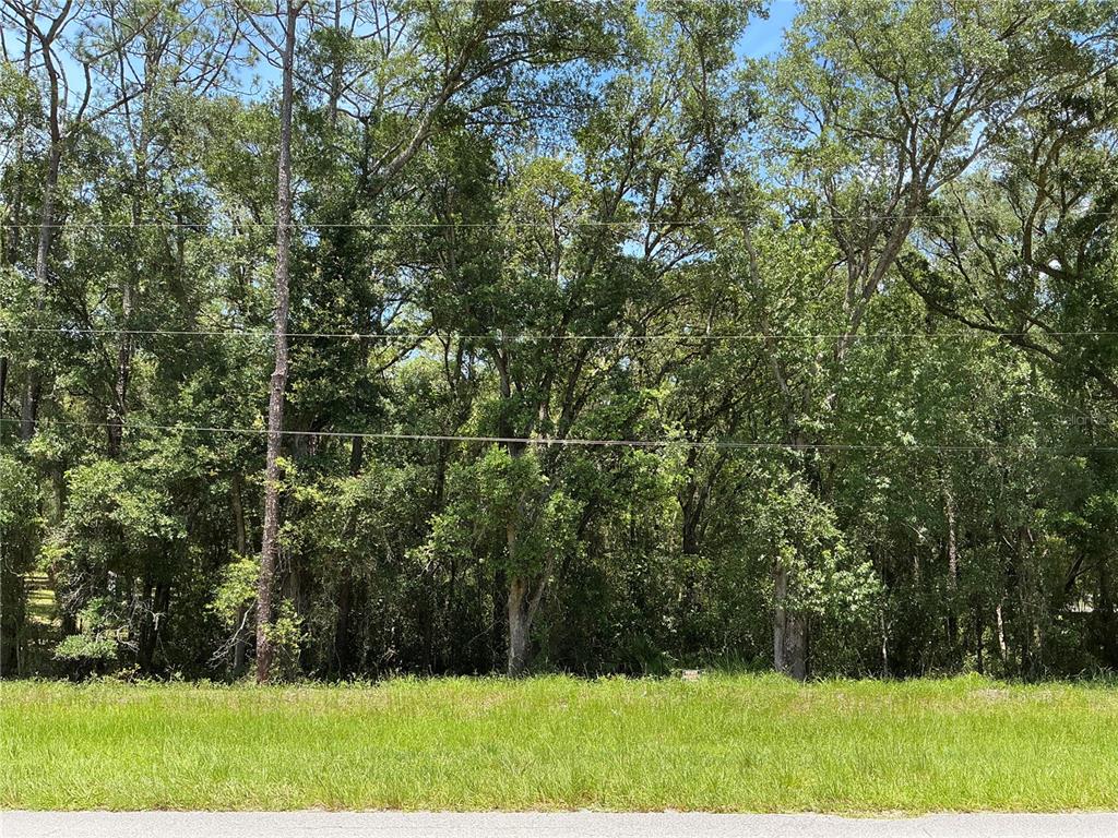 Southwest 102nd St Road Dunnellon, FL 34431 - Photo 1 of 8
