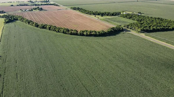 a view of a pathway both side of river with yard