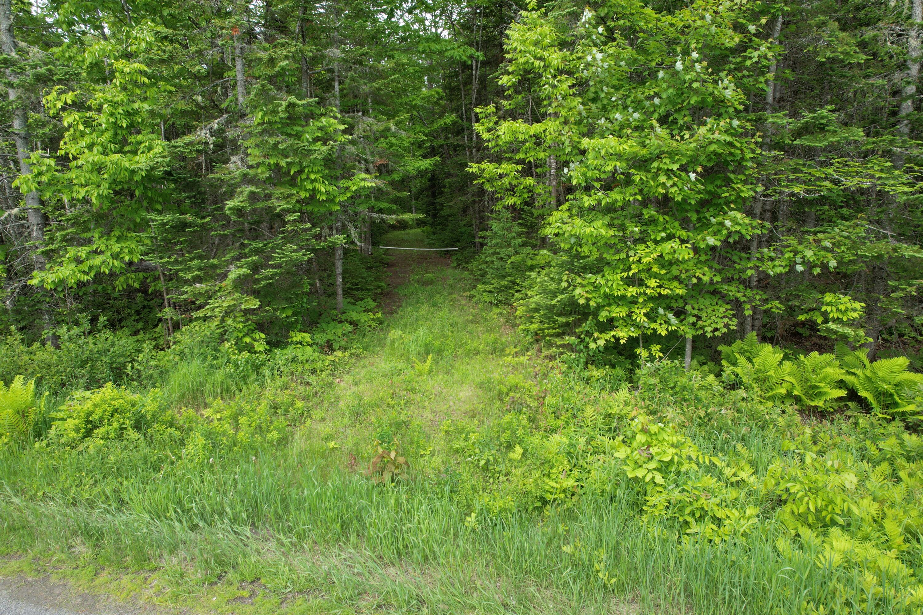 Lot 12-1 North Dexter Road Parkman, ME 04443 - Photo 4 of 10 4E3D98BF-00C4-4275-900C-13B89E753E58