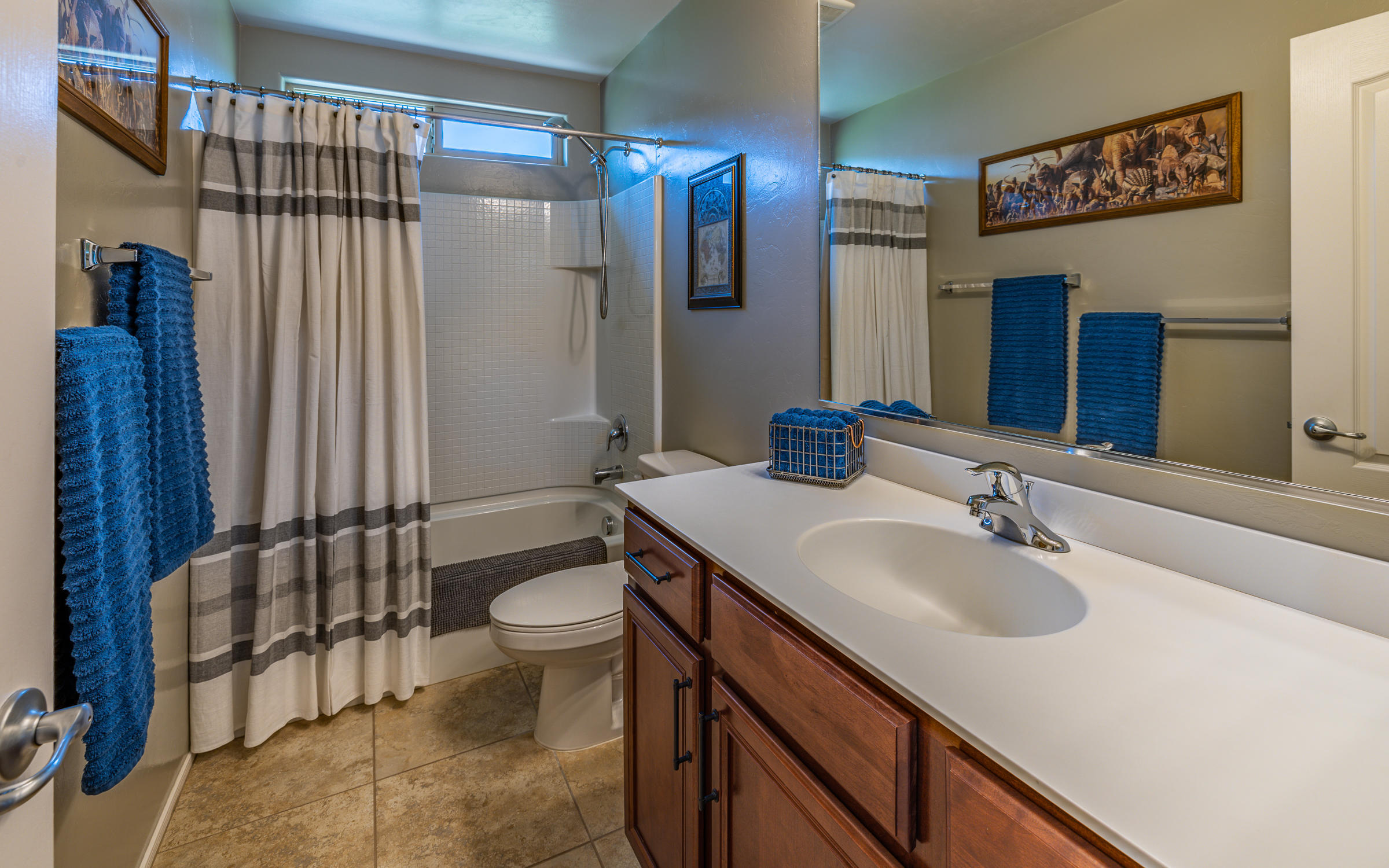 39223 Rodeo Buckle Drive Tucson, AZ 85739 - Photo 24 of 48