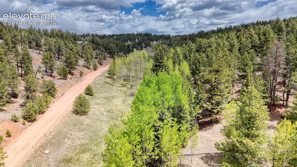 42 Rabbit Circle Florissant, CO 80816 - Photo 20 of 20 a view of a lake with a building in the background